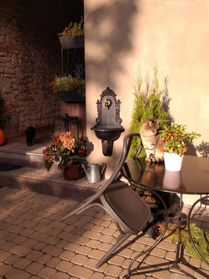 Babie Lato B&B Uniejów Exterior foto